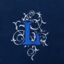 Single Fancy Initial