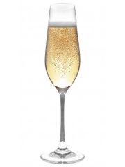 Crystal Champagne Flute 235ml