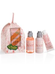 L'Occitane Christmas Pamper Hamper