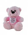 Add Soft Toys & Silk Flowers to this gift